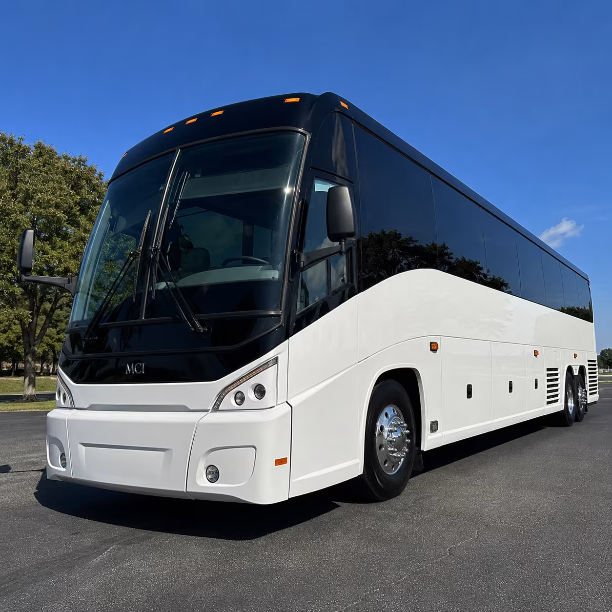 give your bachelorette or birthday group the party bus they deserve